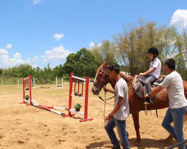 Encaminhamento para Equoterapia